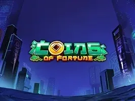 Coins of Fortune DNT game cover